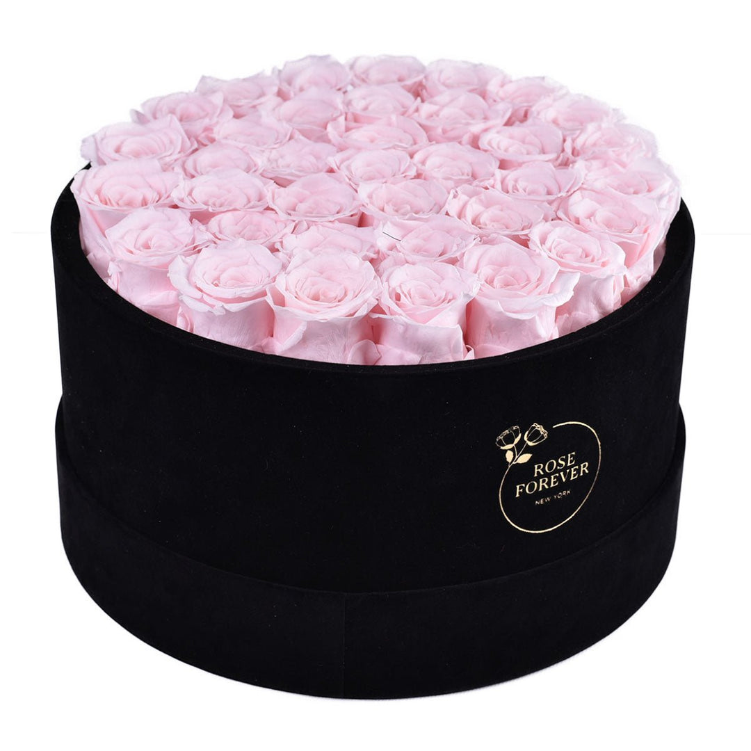 36 Light Pink Roses - Black Round Velvet Box - Rose Forever