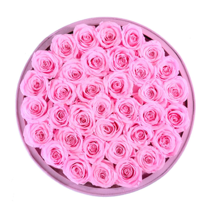 36 Light Pink Roses - Pink Round Suede Box - Rose Forever