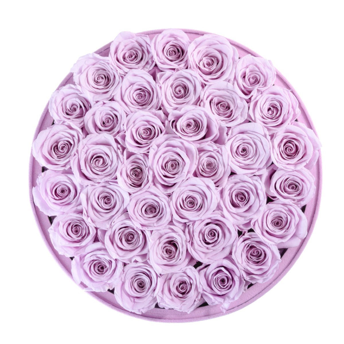 36 Lilac Roses - Suede Box
