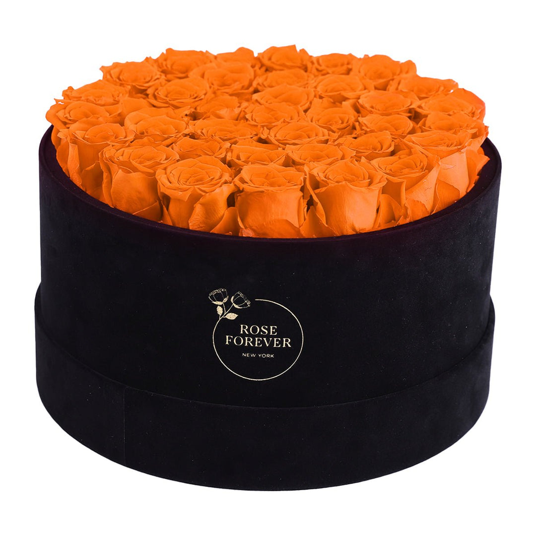 36 Orange Roses - Black Round Velvet Box - Rose Forever