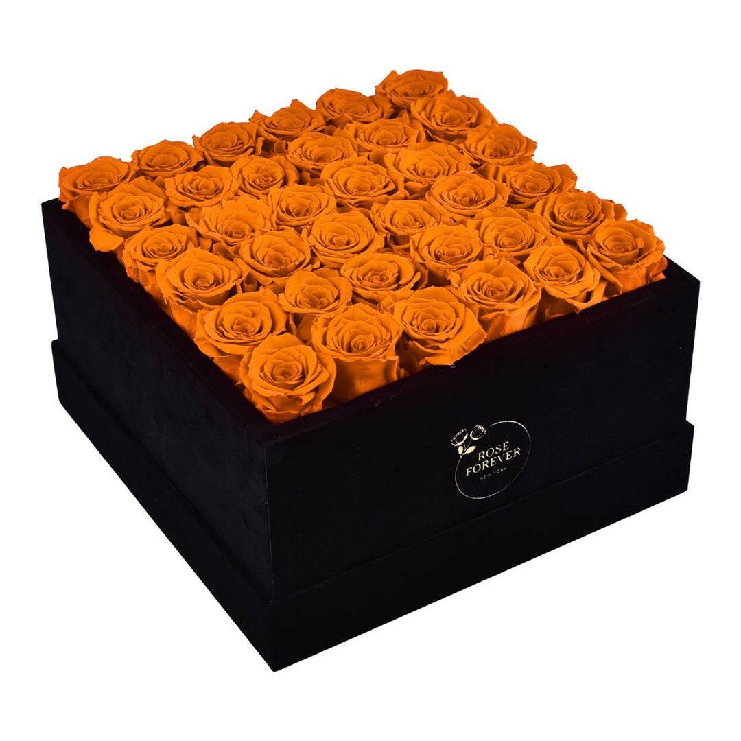 36 Orange Roses - Black Square Velvet Box - Rose Forever