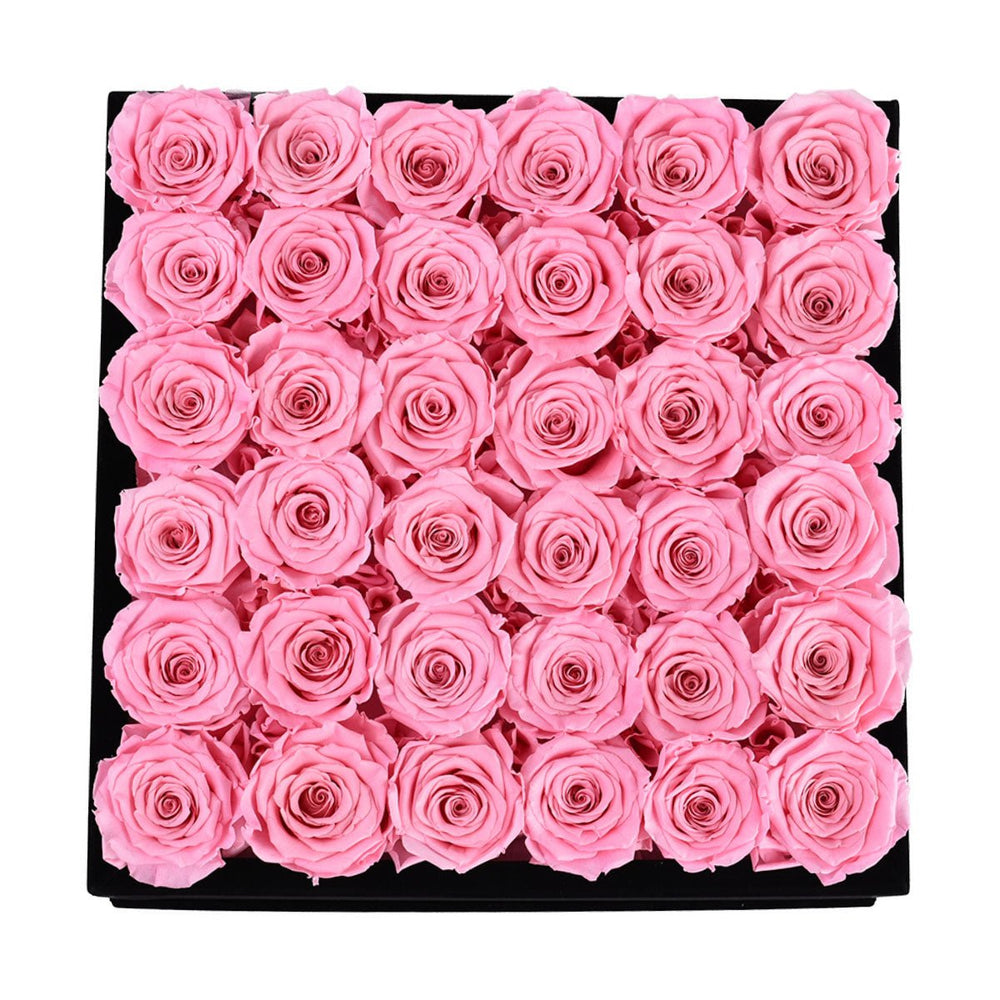 36 Pink Roses - Black Square Velvet Box - Rose Forever