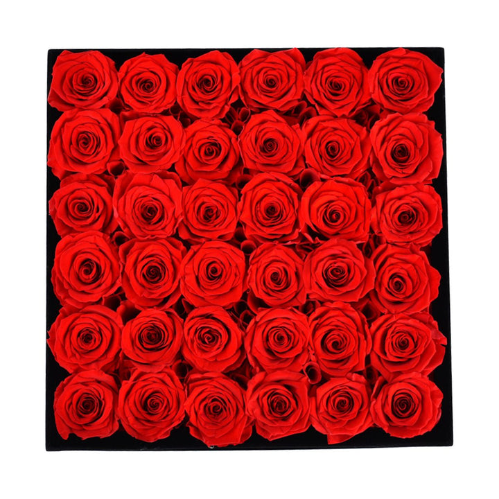 36 Red Roses - Black Square Velvet Box - Rose Forever