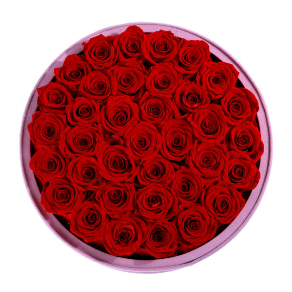 36 Red Roses - Pink Round Suede Box - Rose Forever