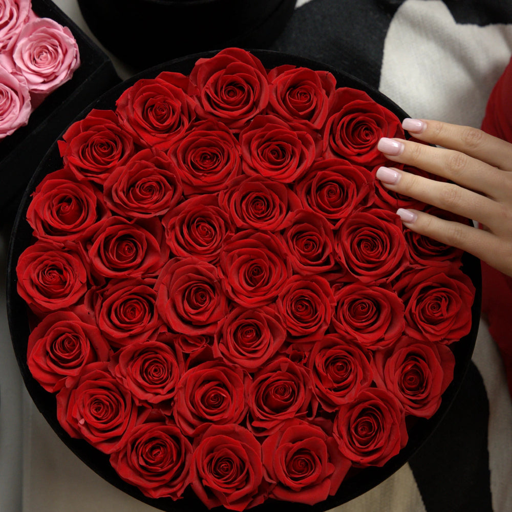 36 Red Roses - Round Velvet Box - Rose Forever