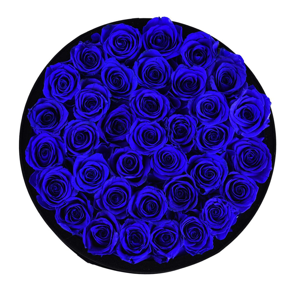 36 Royal Blue Roses - Black Round Velvet Box - Rose Forever