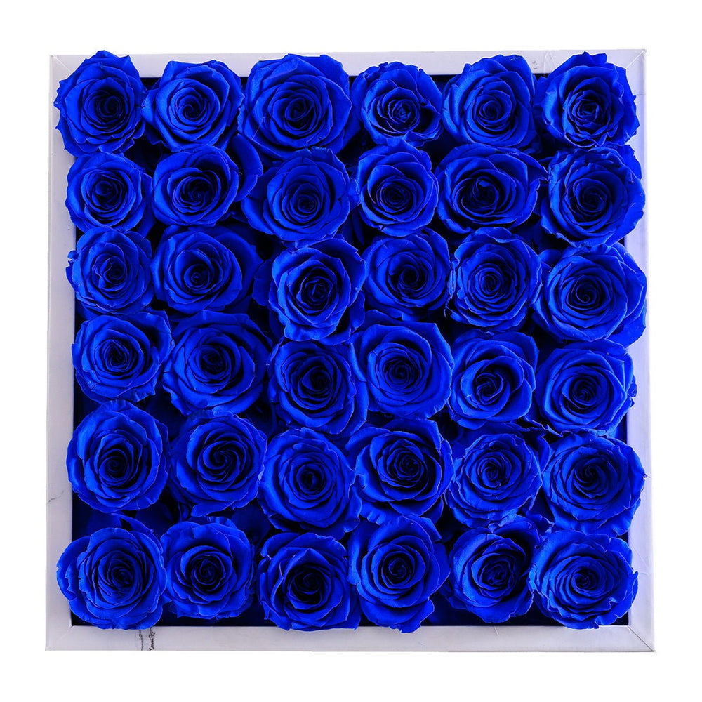 36 Royal Blue Roses - White Marble Square Box - Rose Forever