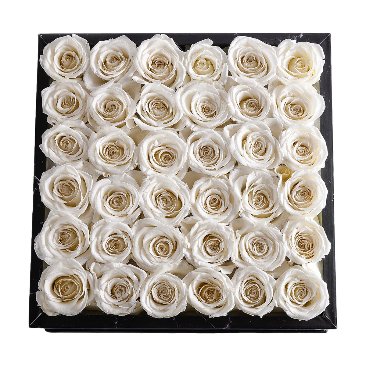 36 Pink Roses - Black Square Velvet Box | Flower Delivery – Rose Forever