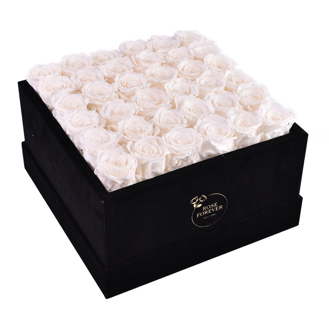 36 White Roses - Black Square Velvet Box - Rose Forever