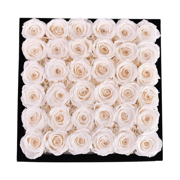 36 White Roses - Black Square Velvet Box - Rose Forever