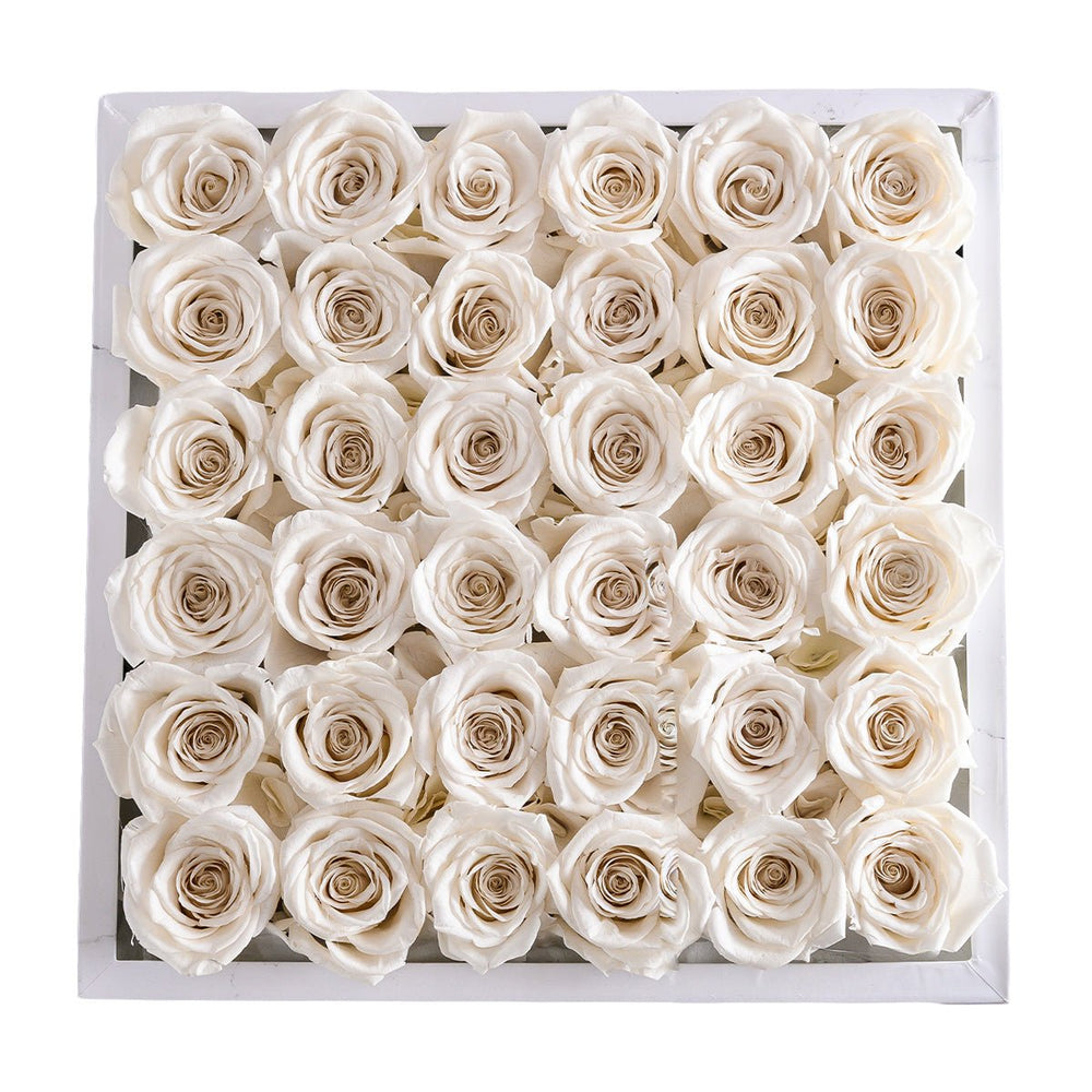 36 White Roses - White Marble Square Box - Rose Forever