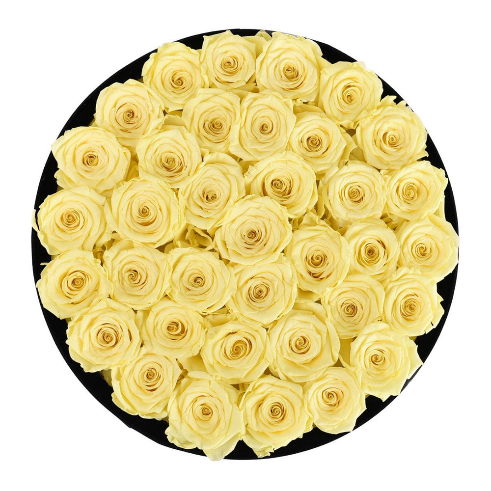 36 Yellow Roses - Black Round Velvet Box - Rose Forever
