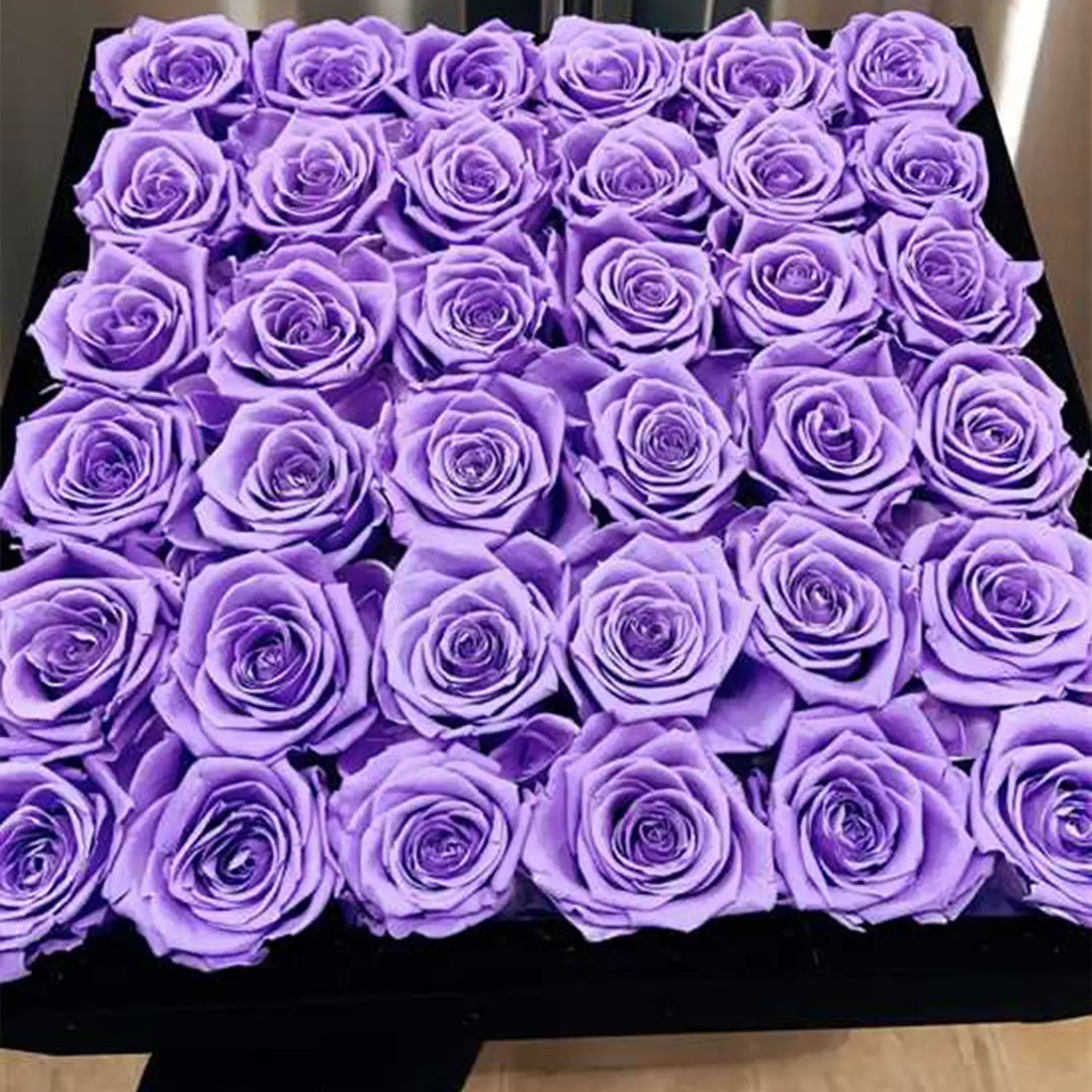 36 Lavender Roses - Black Square Velvet Box