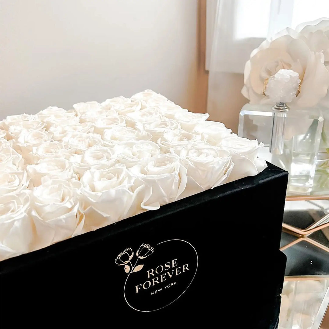 36 White Roses - Black Square Velvet Box