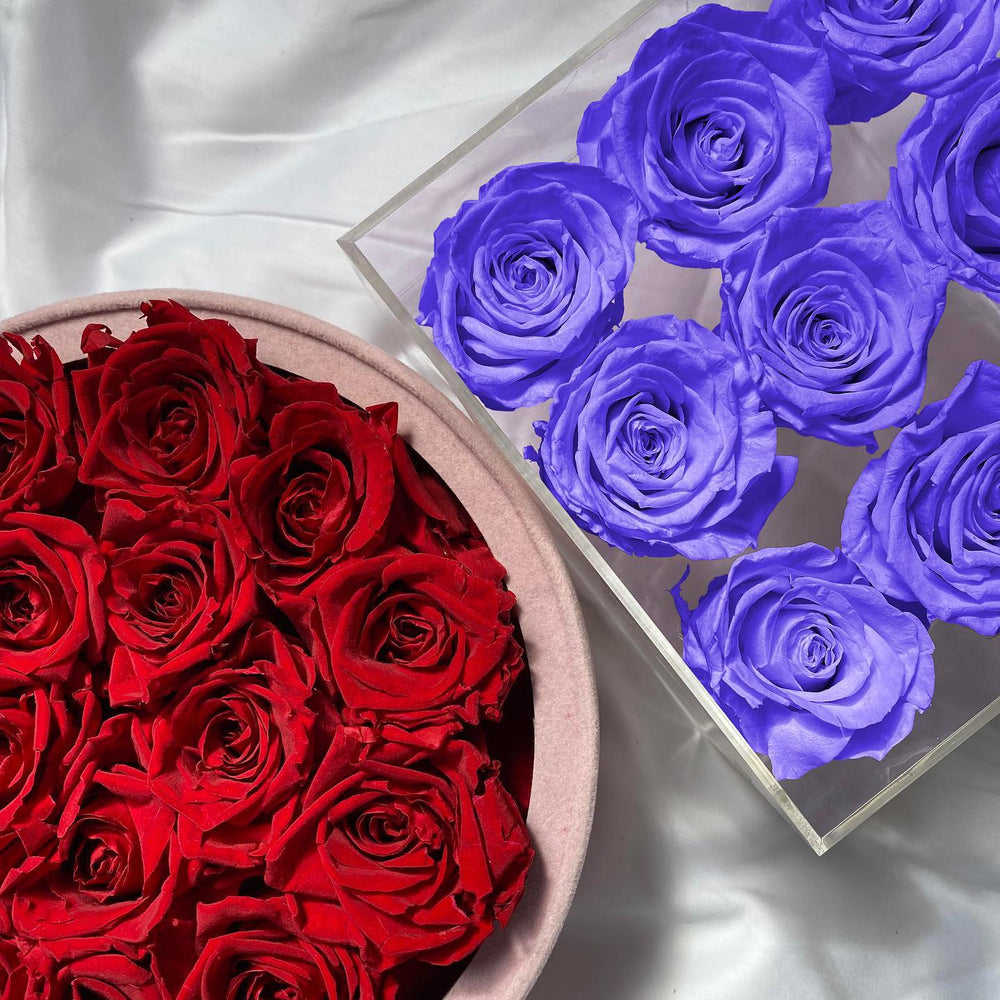 Rose Forever - Preserved Roses That Last a Year