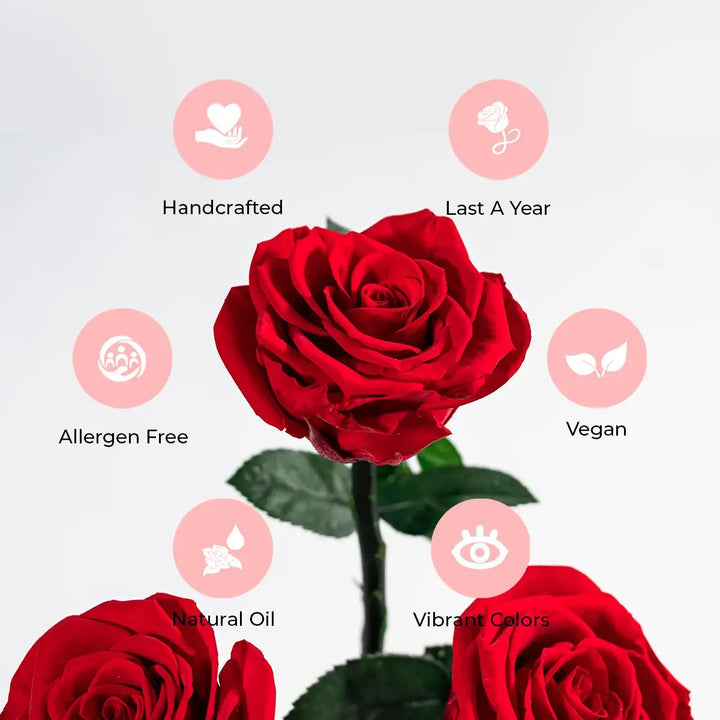 49 Fuchsia Roses - Black Square Velvet Box - Rose Forever