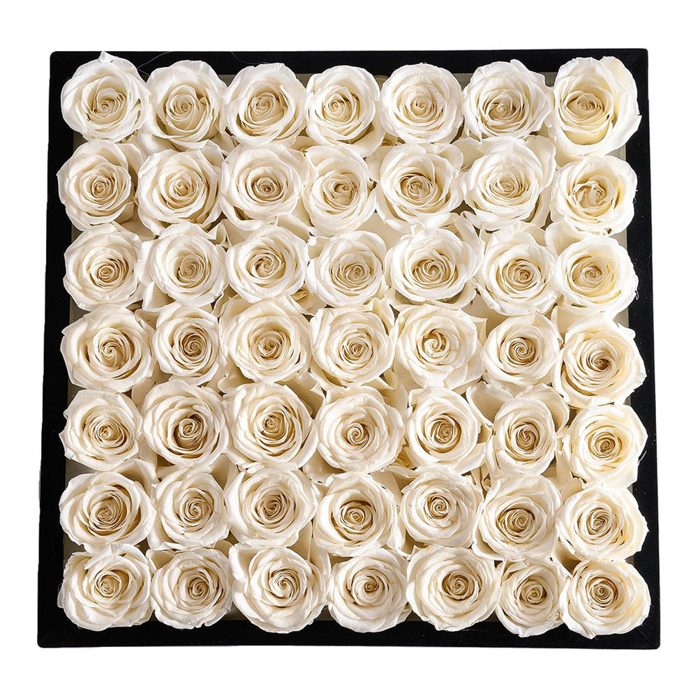 49 Ivory Roses - Square Velvet Box - Rose Forever