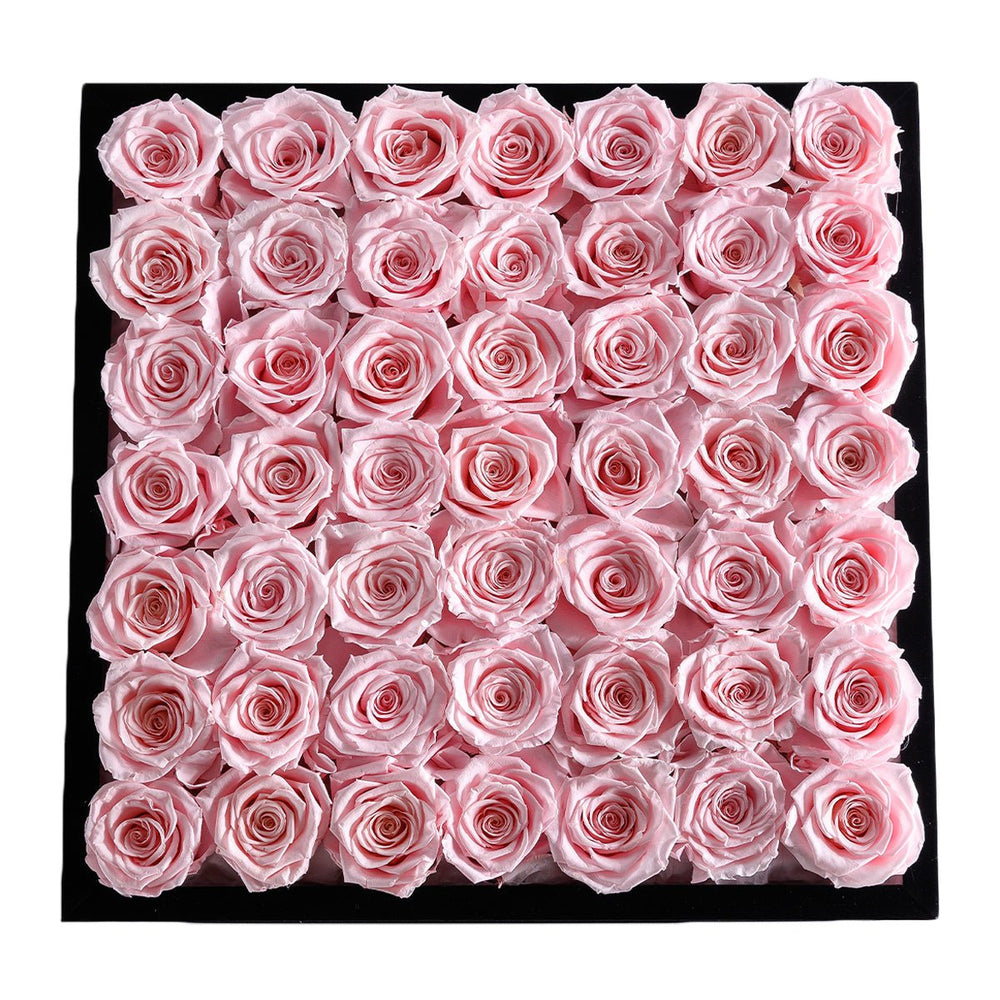 49 Light Pink Roses - Black Square Velvet Box - Rose Forever