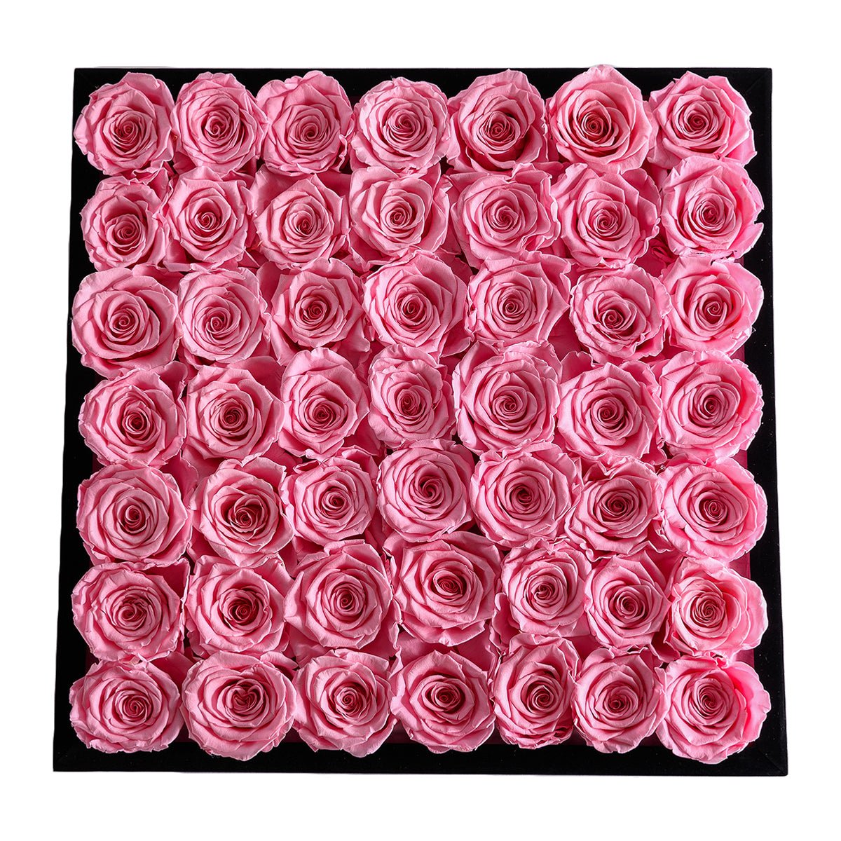 49 Pink Roses - Black Square Velvet Box | Flower Delivery – Rose