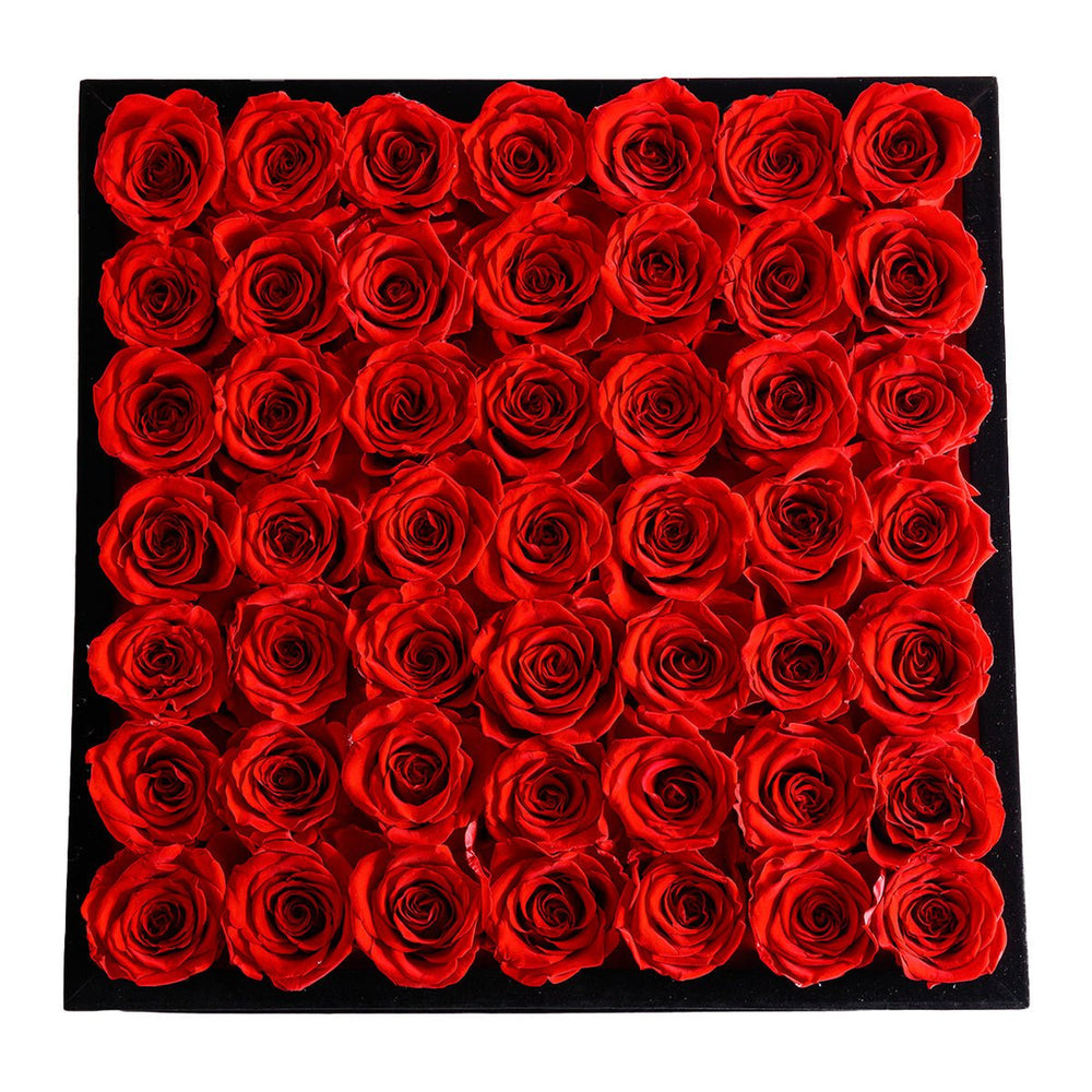 49 Red Roses - Black Square Velvet Box - Rose Forever