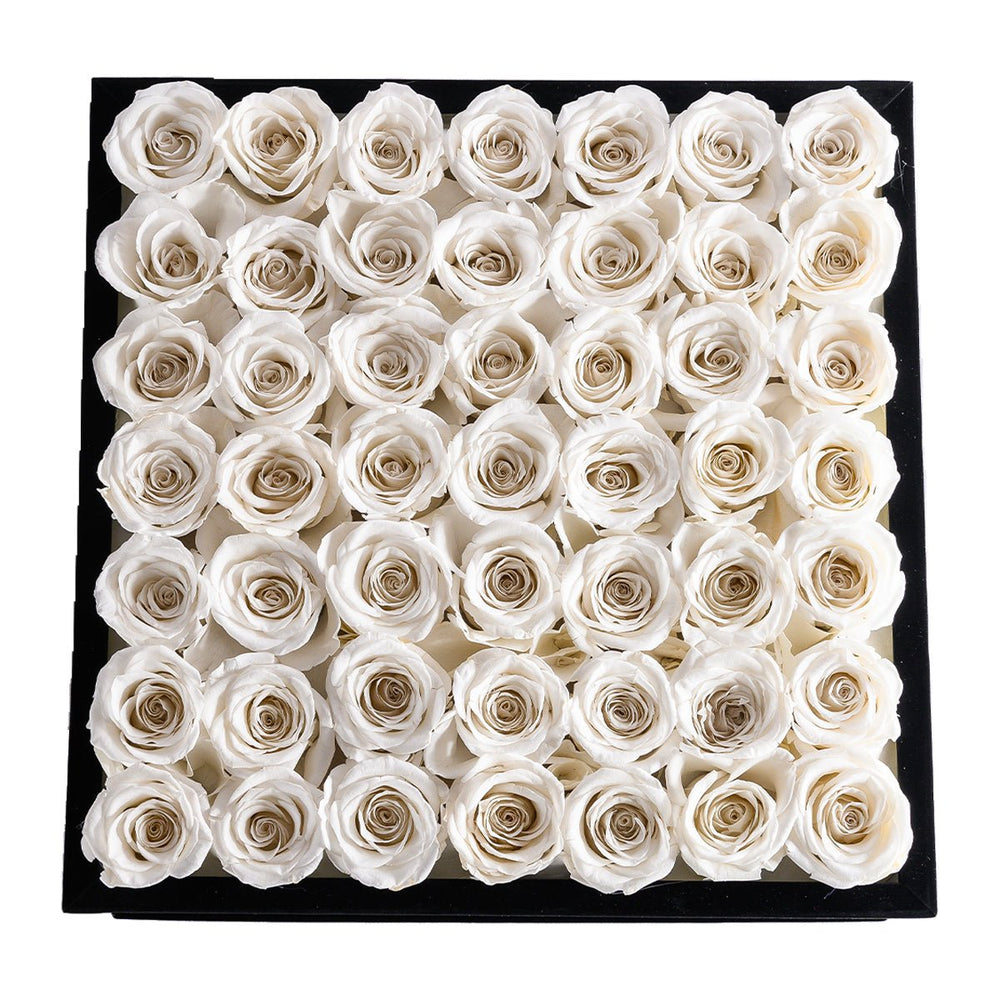 49 White Roses - Black Velvet Square Box - Rose Forever
