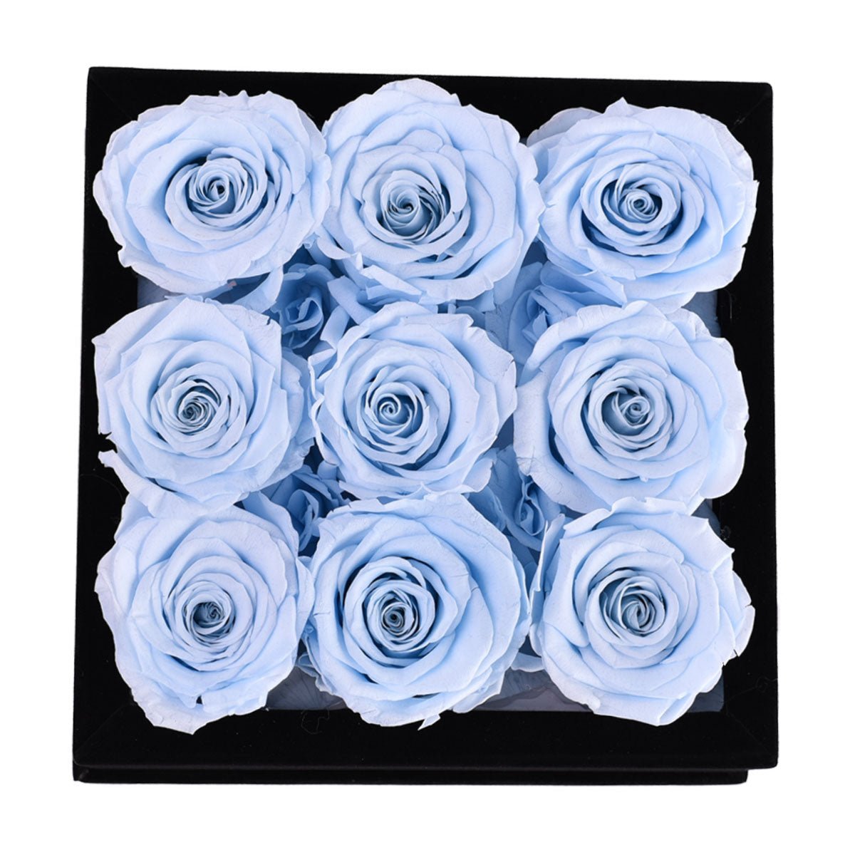 9 Baby Blue Roses - Square Black Velvet Box | Flower Delivery – Rose Forever