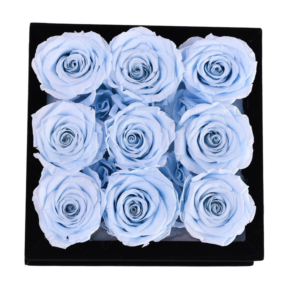 9 Baby Blue Roses - Square Black Velvet Box - Rose Forever
