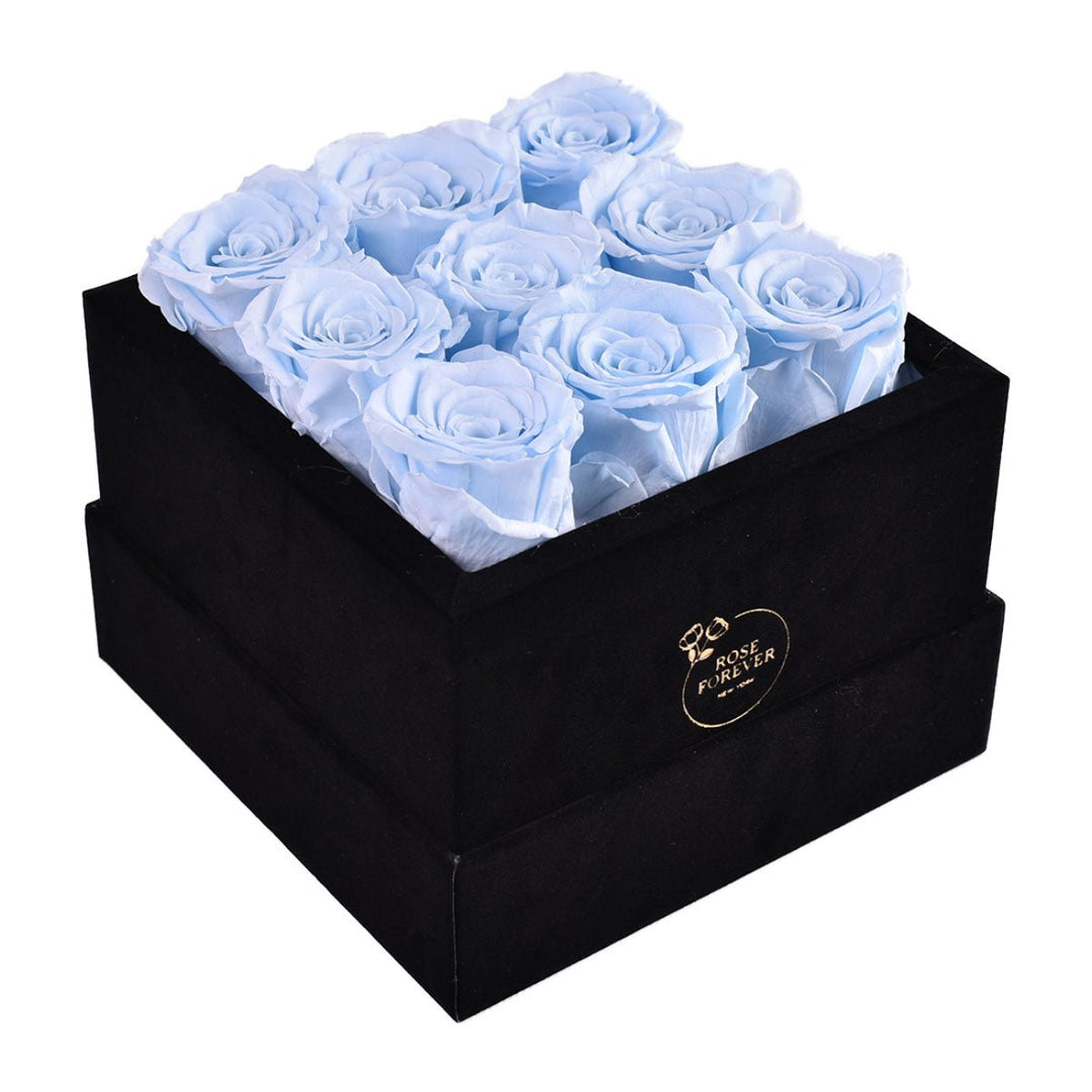 9 Baby Blue Roses - Square Black Velvet Box - Rose Forever
