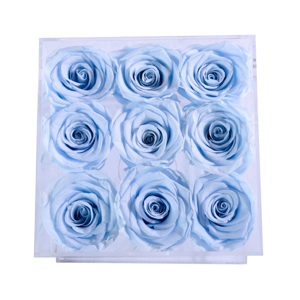 9 Baby Blue Roses Square Acrylic Box Flower Delivery Rose Forever