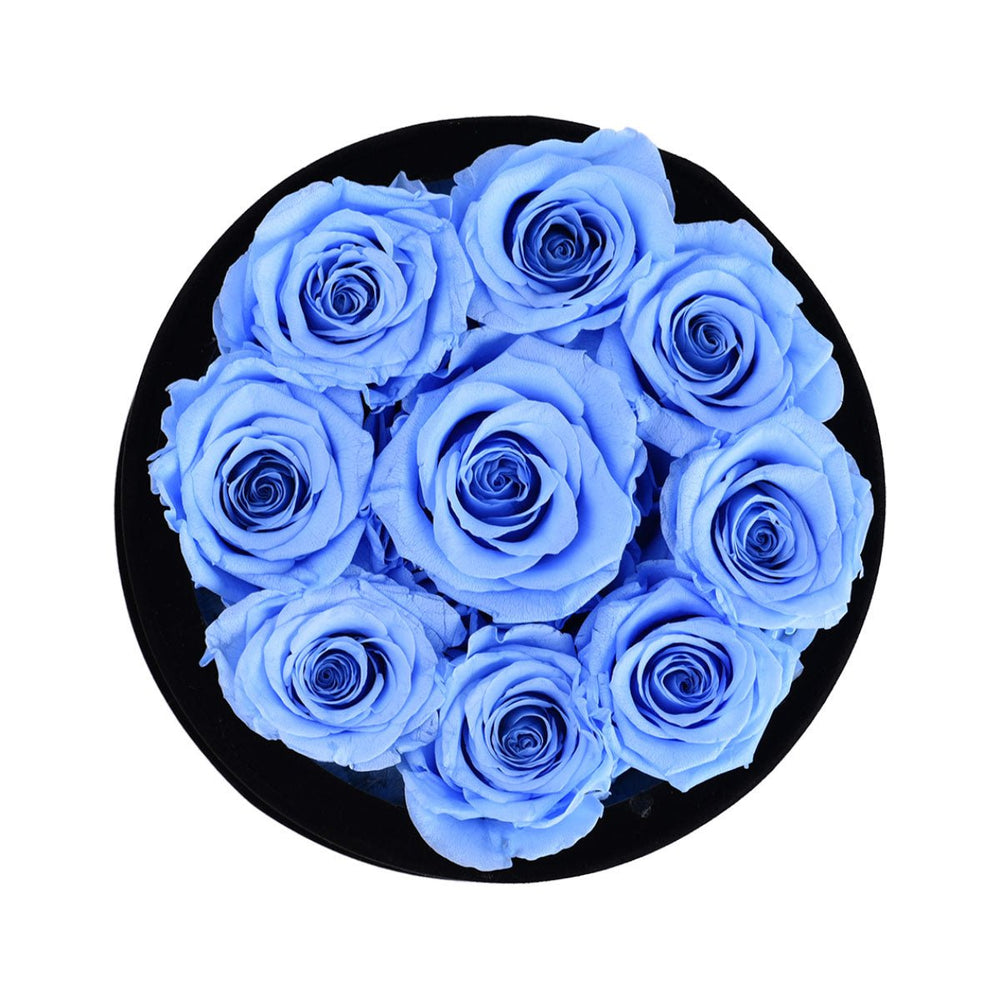 9 Blue Roses - Black Round Velvet Box - Rose Forever