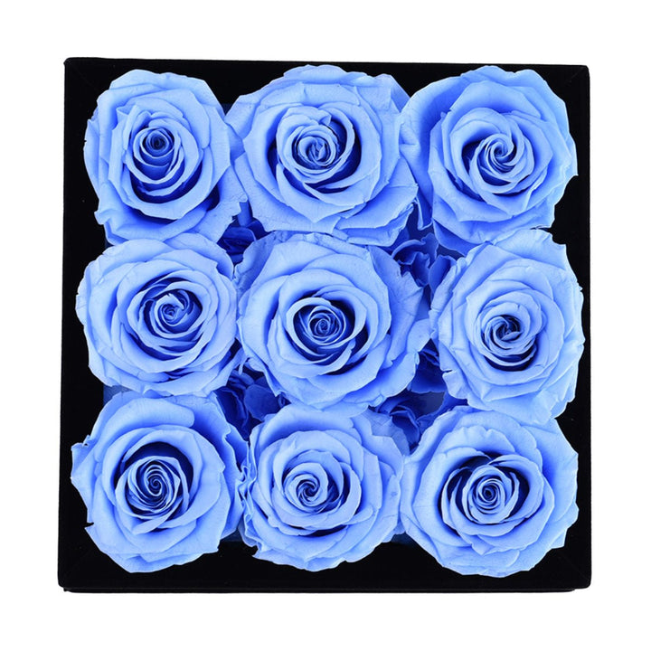 9 Blue Roses - Black Square Velvet Box - Rose Forever