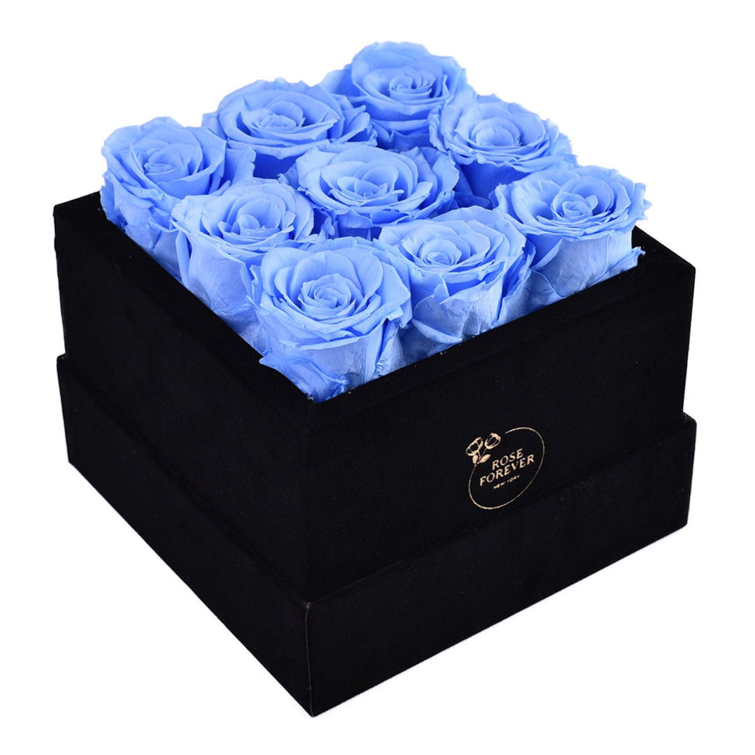 9 Blue Roses - Black Square Velvet Box - Rose Forever