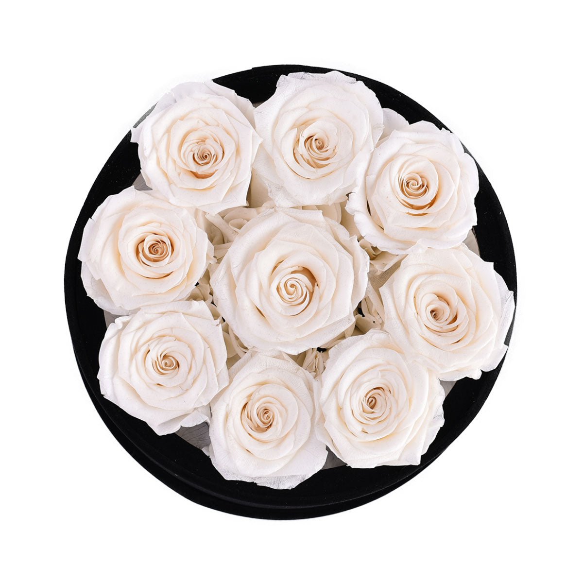 9 Black Roses - Black Round Velvet Box | Flower Delivery – Rose