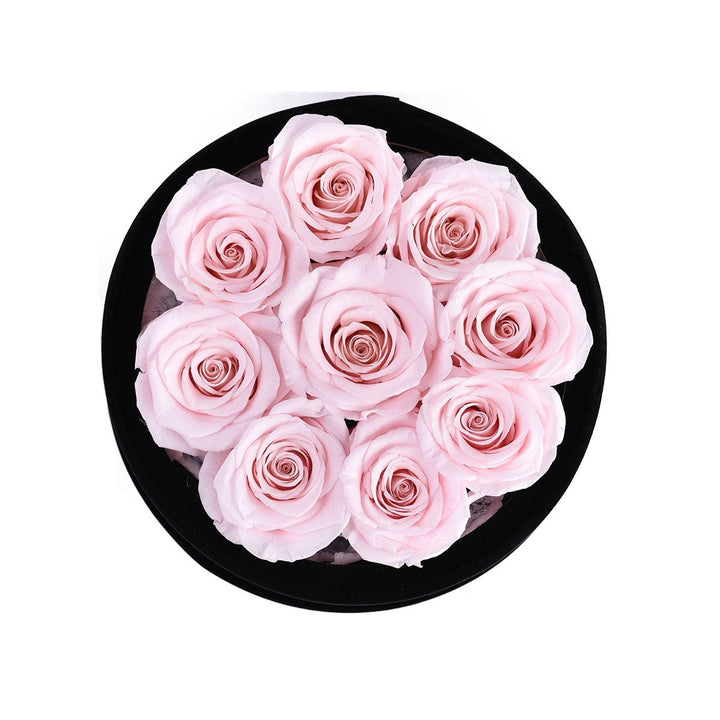 9 Light Pink Roses - Black Round Velvet Box - Rose Forever