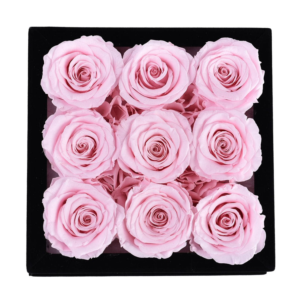 9 Light Pink Roses - Square Black Velvet Box - Rose Forever