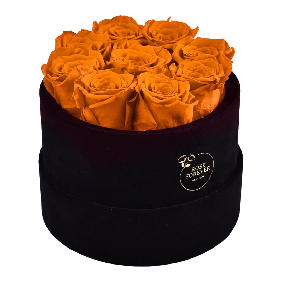 9 Orange Roses - Black Round Velvet Box - Rose Forever