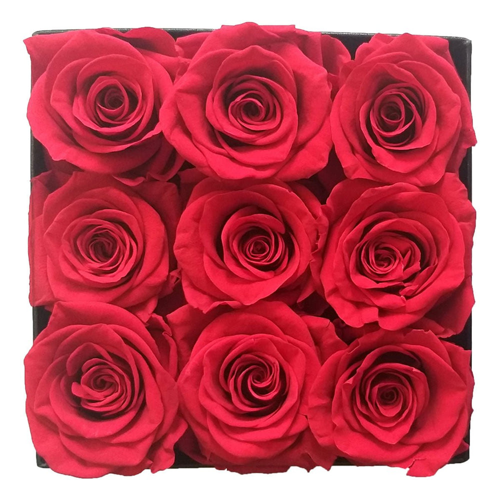9 Red Roses from Ecuador - Square Box - Rose Forever