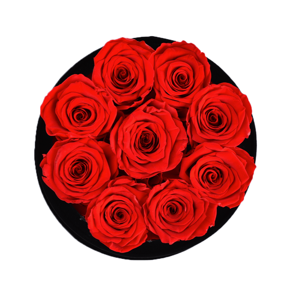 9 Red Roses - Round Black Velvet Box - Rose Forever