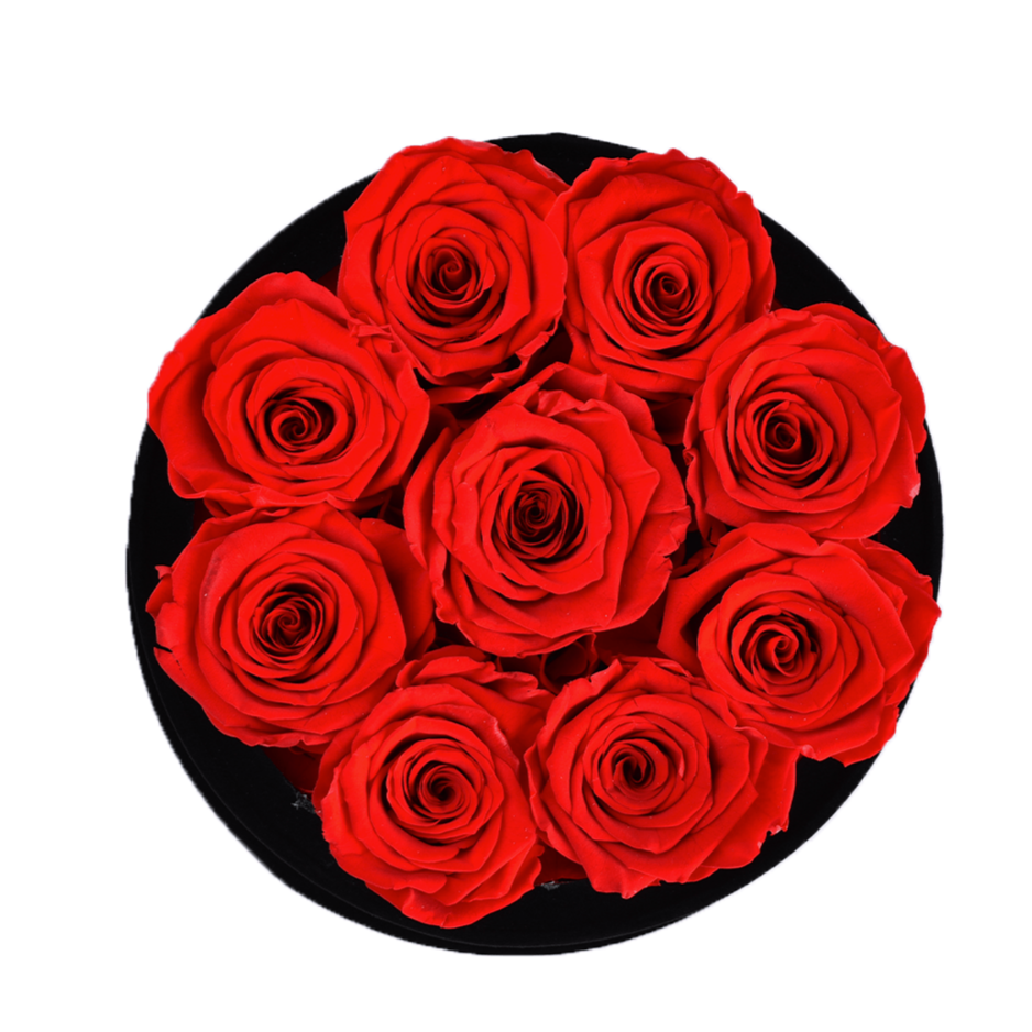 9 Red Roses - Round Black Velvet Box | Flower Delivery – Rose Forever
