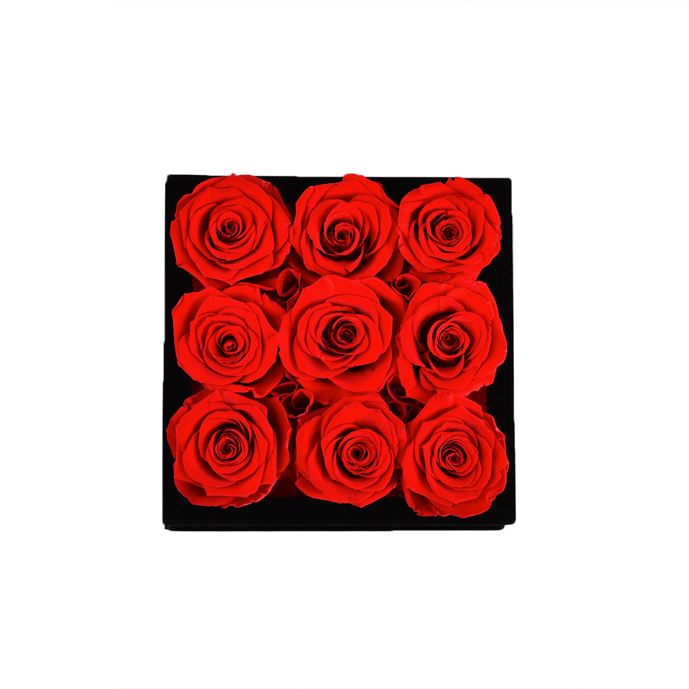 9 Red Roses - Square Black Velvet Box - Rose Forever