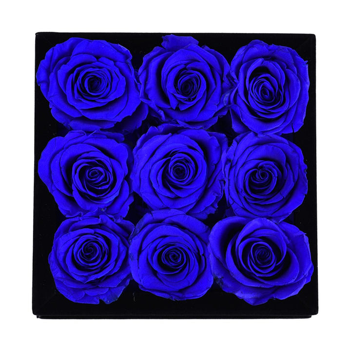 9 Royal Blue Roses - Black Square Velvet Box - Rose Forever