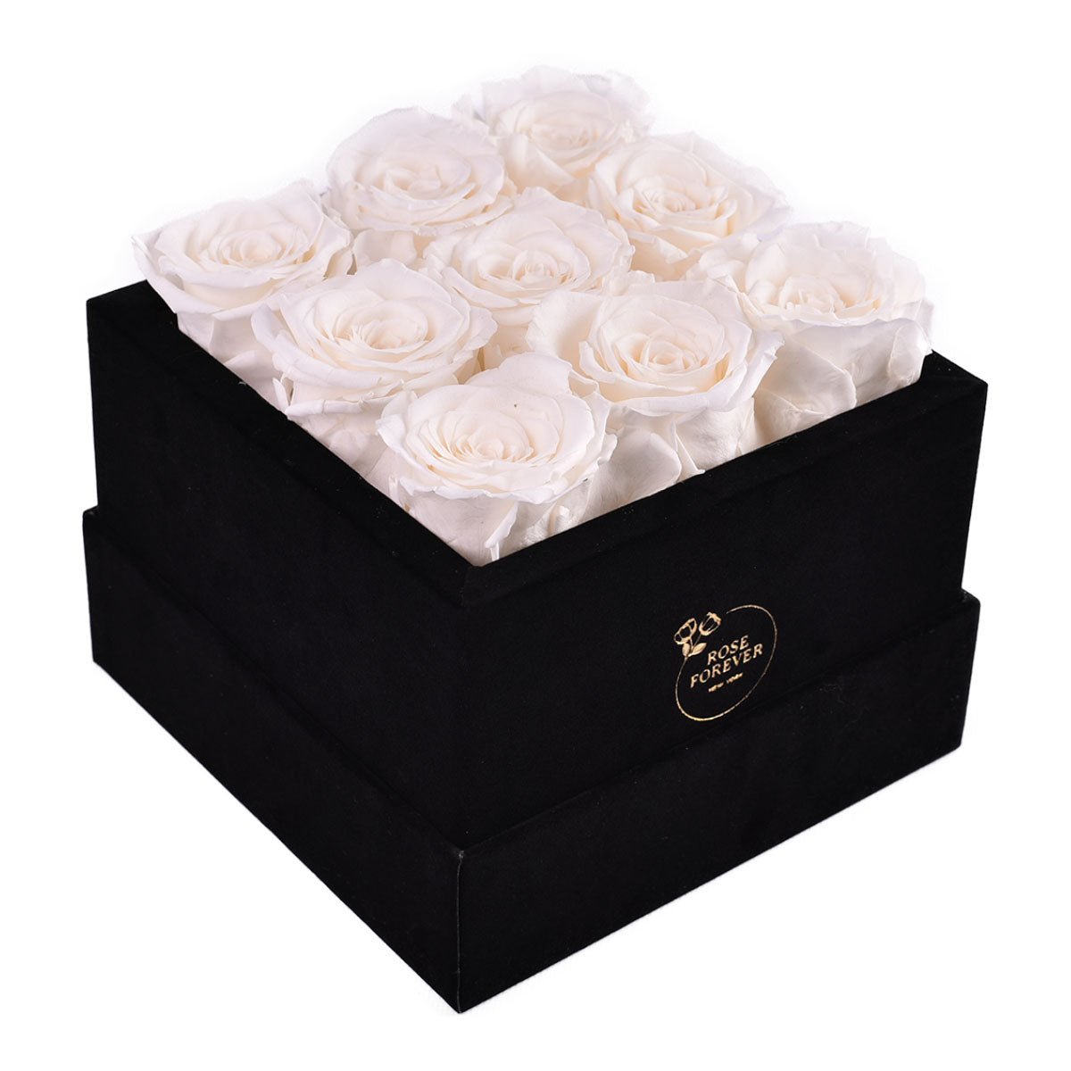 barabell White Rose × Black Velvet 9 White Roses - Black Square Velvet Box | Flower Delivery – Rose