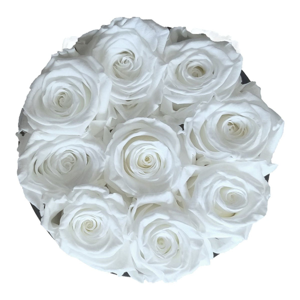9 White Roses from Ecuador - Round Box - Rose Forever