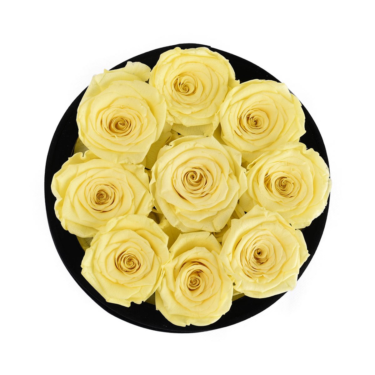 9 Black Roses - Black Round Velvet Box | Flower Delivery – Rose