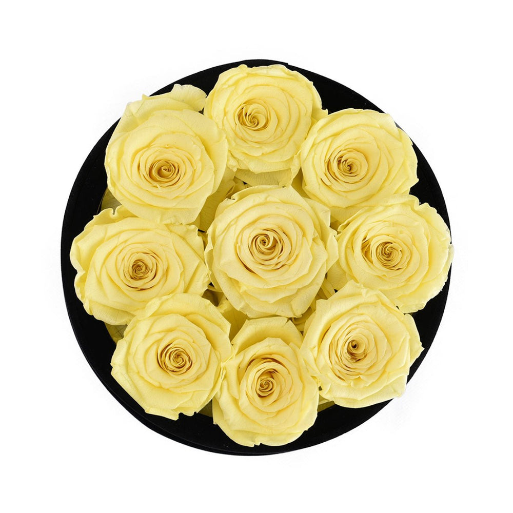 9 Yellow Roses - Black Round Velvet Box - Rose Forever