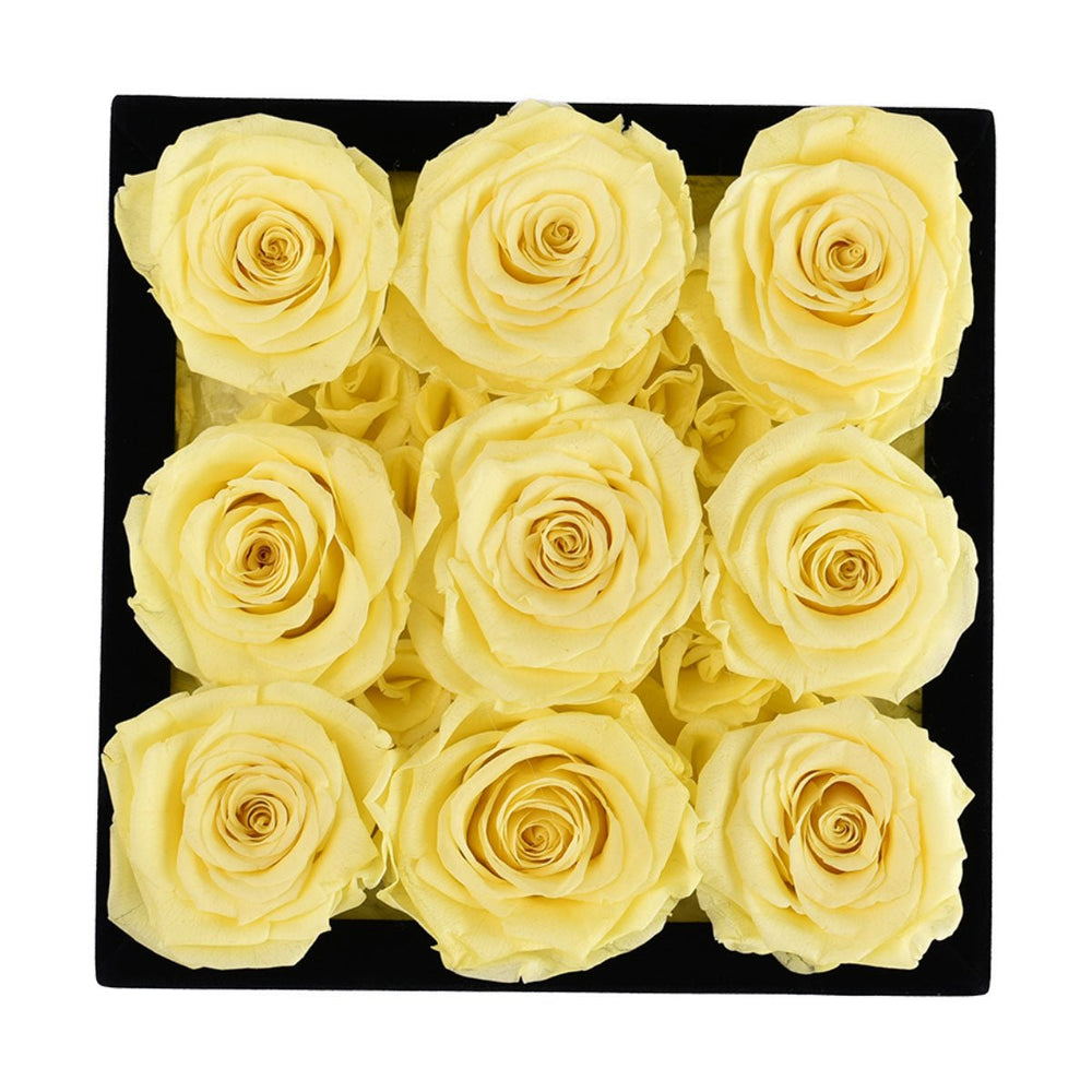 9 Yellow Roses - Black Square Velvet Box - Rose Forever