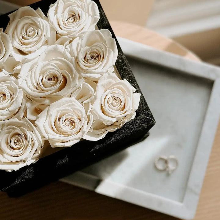 9 Ivory Roses - Black Square Velvet Box