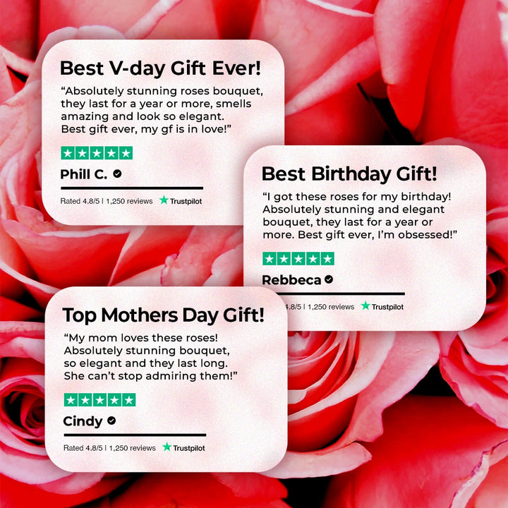 16 Fuchsia Roses - White Square Marble Box