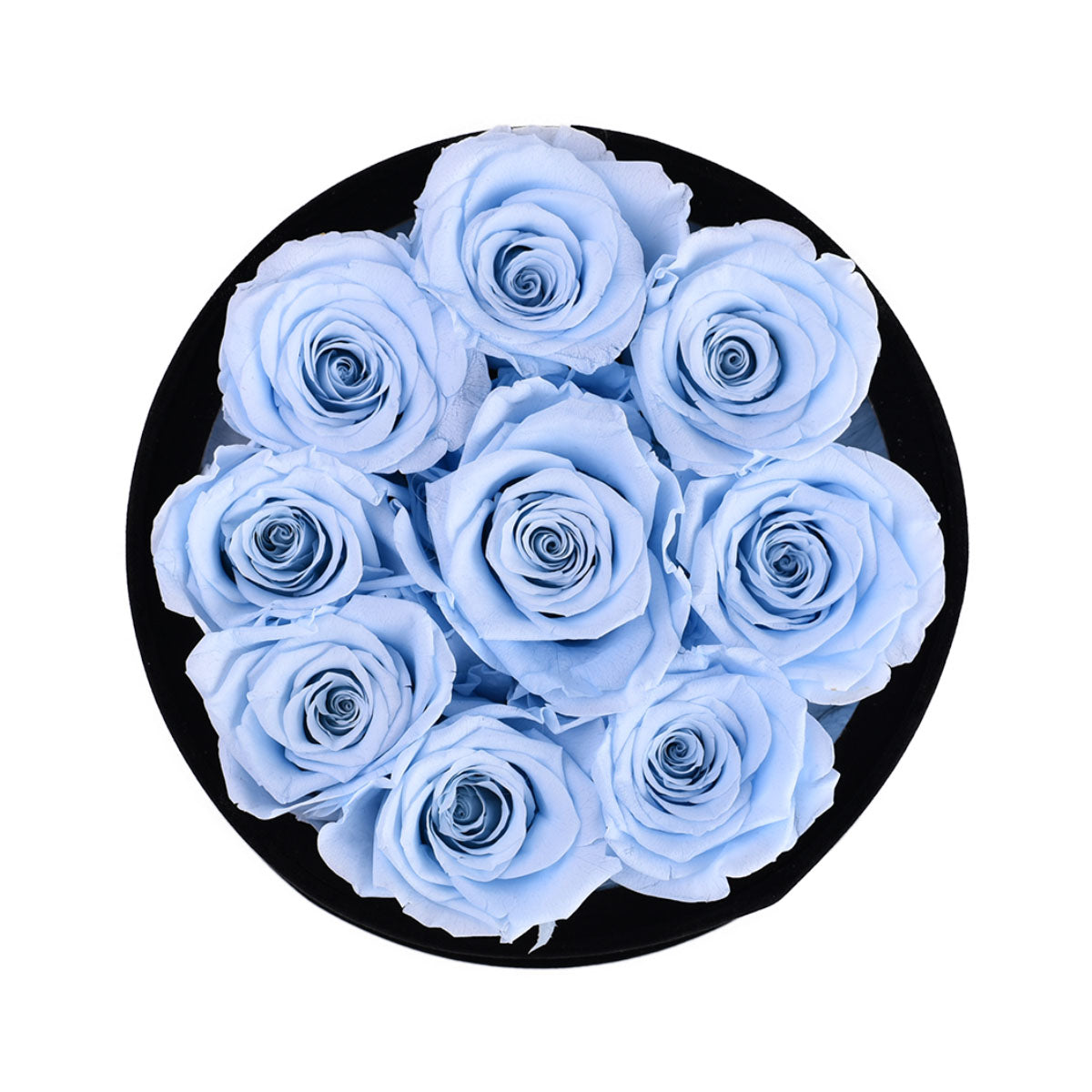 9 Baby Blue Roses - Black Round Velvet Box | Flower Delivery – Rose Forever