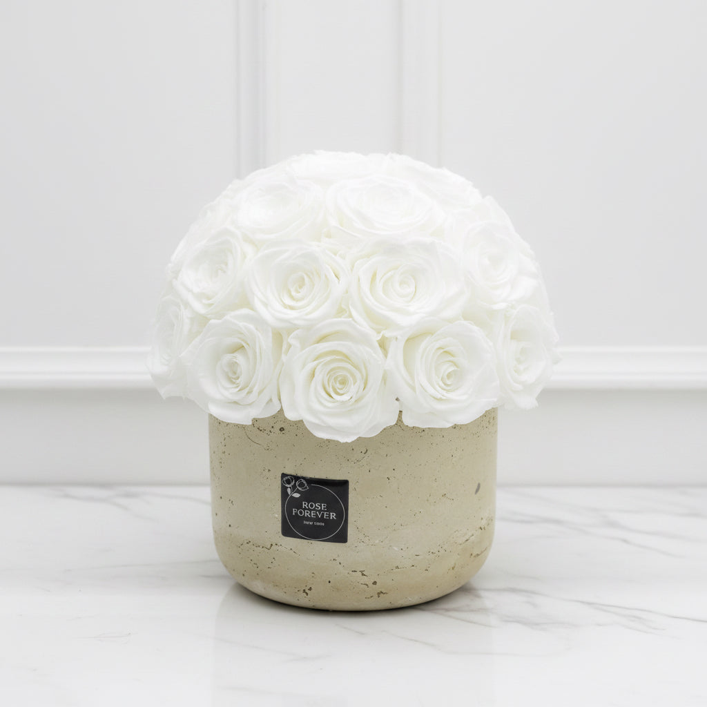 28 White Roses - Dome Arrangement in a Stone Hat Box